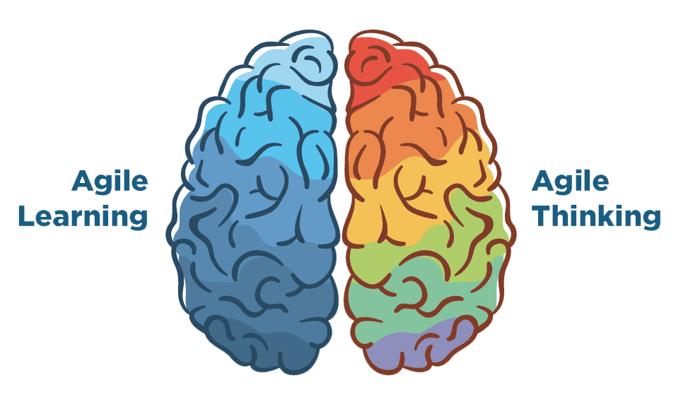 Agile Learning and Agile Thinking — two hemispheres of the entrepreneurial brain